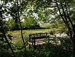 2017-05-13 15.11.51R