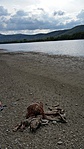 20170418_170348