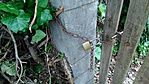 NAGY A LAKAT_20170504_155953