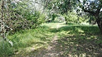 IMG_20170506_102654