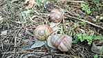 IMG_20170506_103221