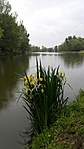 IMG_20170507_112054