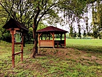 IMG_4567