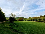 IMG_4568