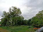 DSC00888