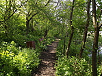 Biai madárles és halastó 006