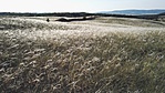 IMG_20170530_185024