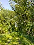 IMG_20170506_150417_445