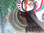 GCalul_20170514165628.jpg