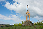 _DSC8463