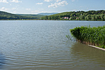 _DSC8572