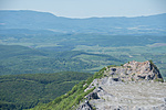 _DSC8642