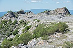_DSC8627
