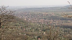 IMG_6983