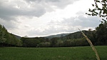 IMG_7028
