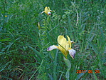 023