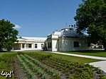 Nyüzsi