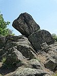 DSC04236
