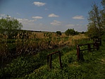 A parton állva