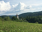 Drežnik várroma