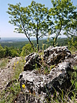 20170520_111111