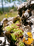 20170520_111316