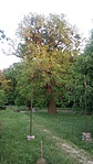 A park bejárata