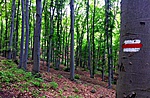 gcaff-IMG_8848