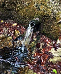 gcaff-IMG_8875