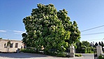 20170512_080806