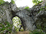 DSCN7859