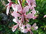DSCN7906