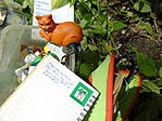 Logbook