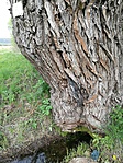 IMG_20170501_160414