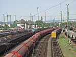 IMG_1819