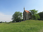 IMG_2156