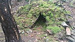 IMG_20170513_115723