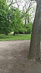P_20170508_113817