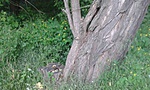 20170520_193228