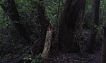 20170520_195722