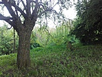 20170507_162310