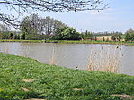 IMG_0035