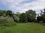 IMG_20170504_132901