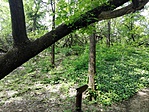 IMG_20170504_133120