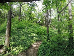 IMG_20170504_133125