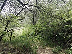 IMG_20170504_133249