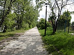 IMG_20170504_144410