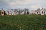 IMG_3205