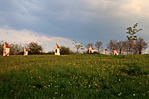 IMG_3210