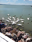 20170527_114821